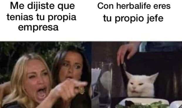 Hola, ¿querés ser tu propio jefe? «Ladri edition»