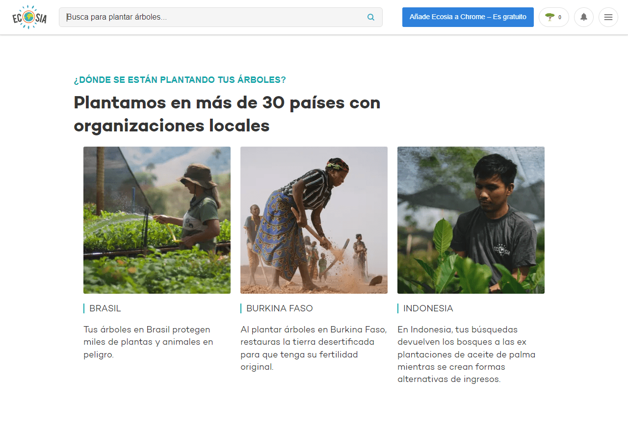 Proyectos de Ecosia. Plantando árboles en más de 30 países.