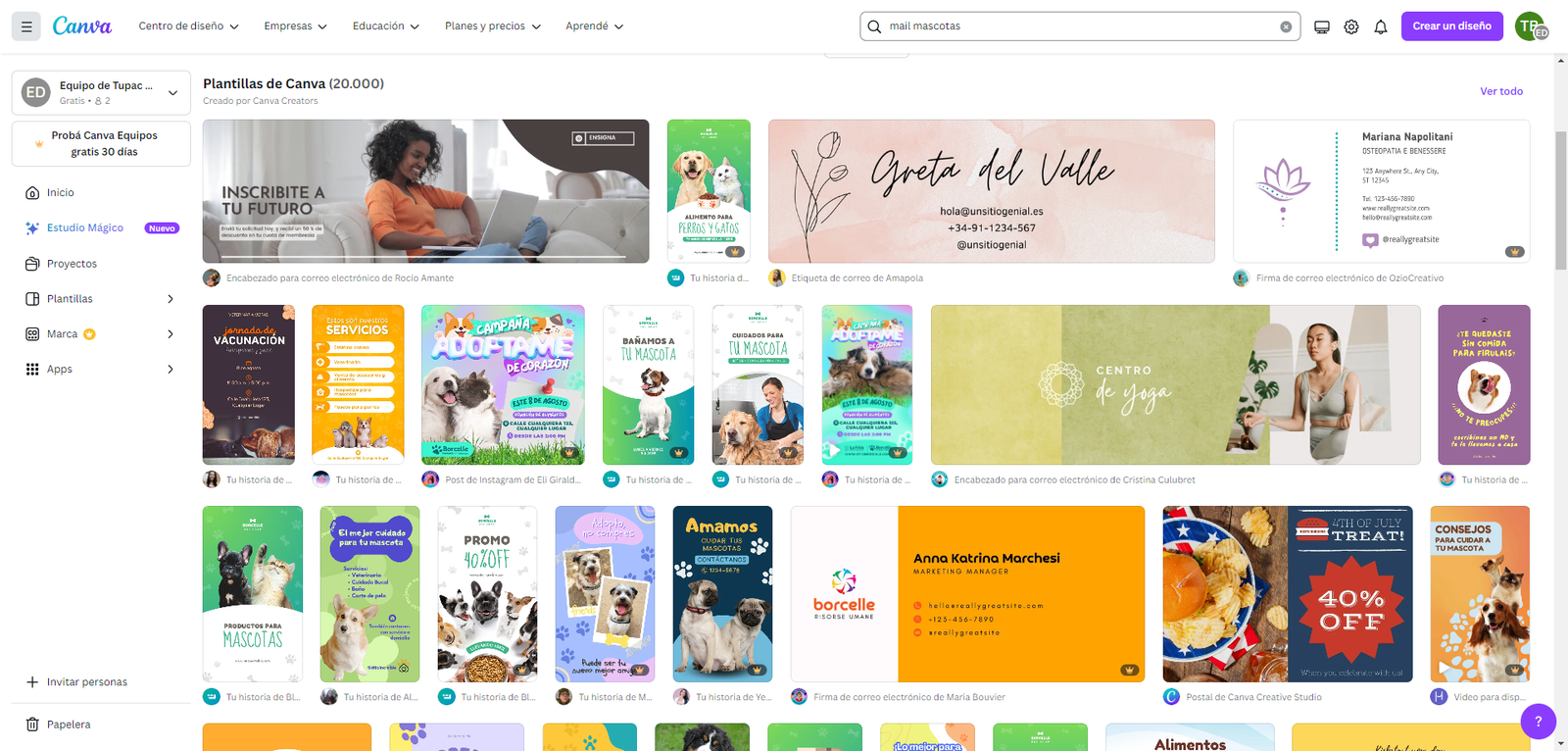 ejemplo de email marketing para tiendas de mascota usando canva